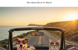Pet-Friendly Travel in 2024: The Ultimate Guide to Exploring the World with Your Furry Friends