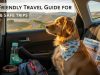 Pet-Friendly Travel Guide for Easy & Safe Trips Pet-Friendly Travel Guide for Easy & Safe Trips
